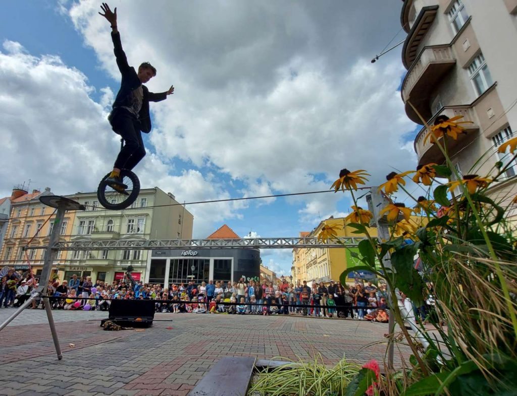 Sam Goodburn unicycling across the tightrope at BuskerBus 2021. In front there are sunflowers, behind the performers there is a crowd.